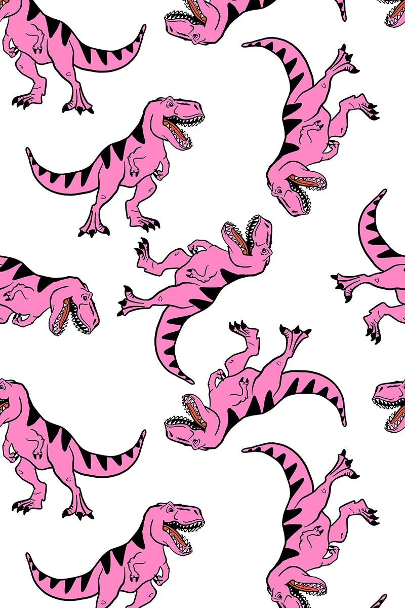 Organic Swaddle Blanket Dinosaurs