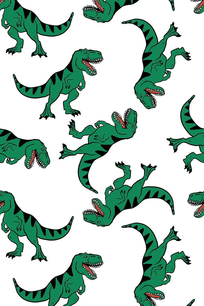 Organic Swaddle Blanket Dinosaurs