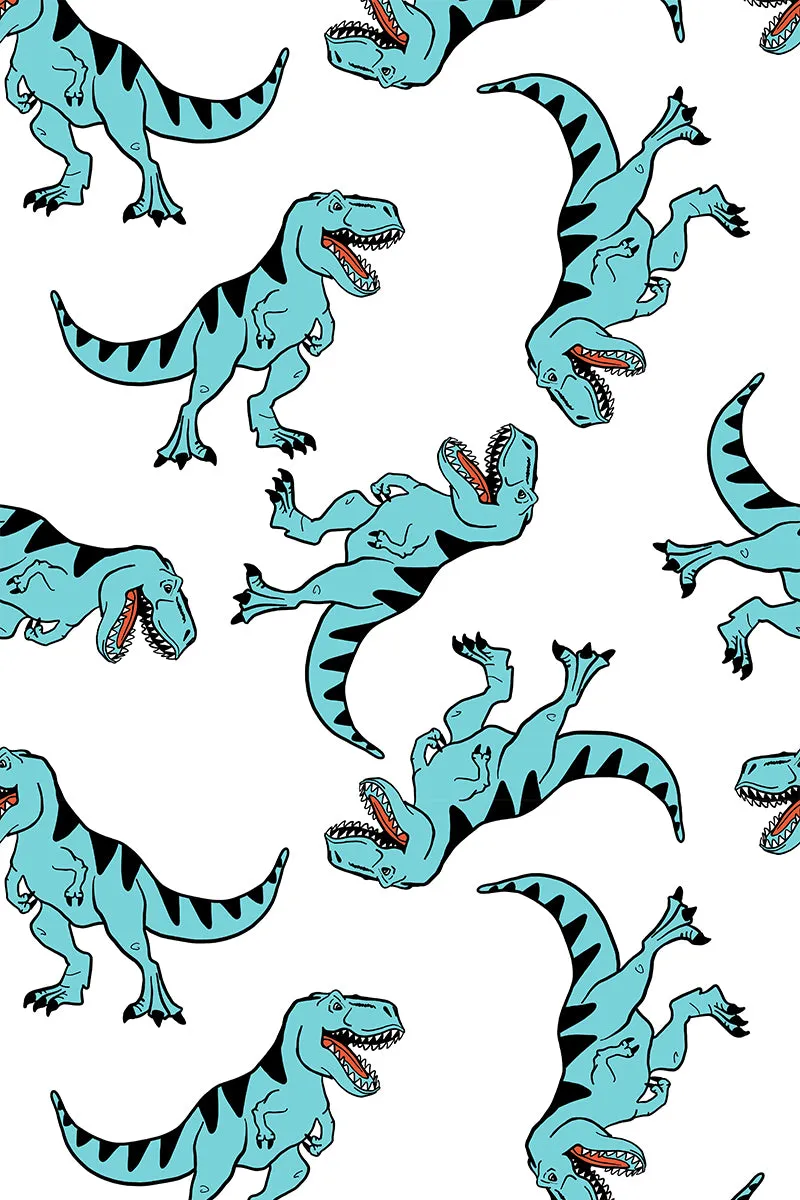 Organic Swaddle Blanket Dinosaurs