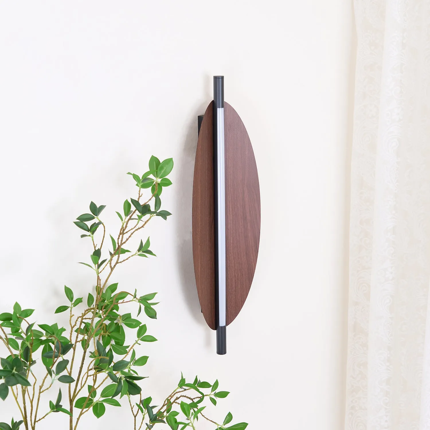 Sleek Board Sconce