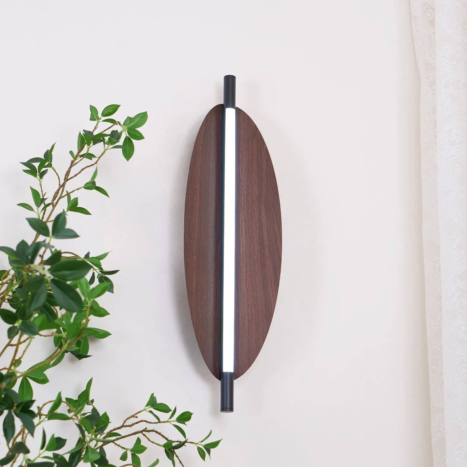 Sleek Board Sconce
