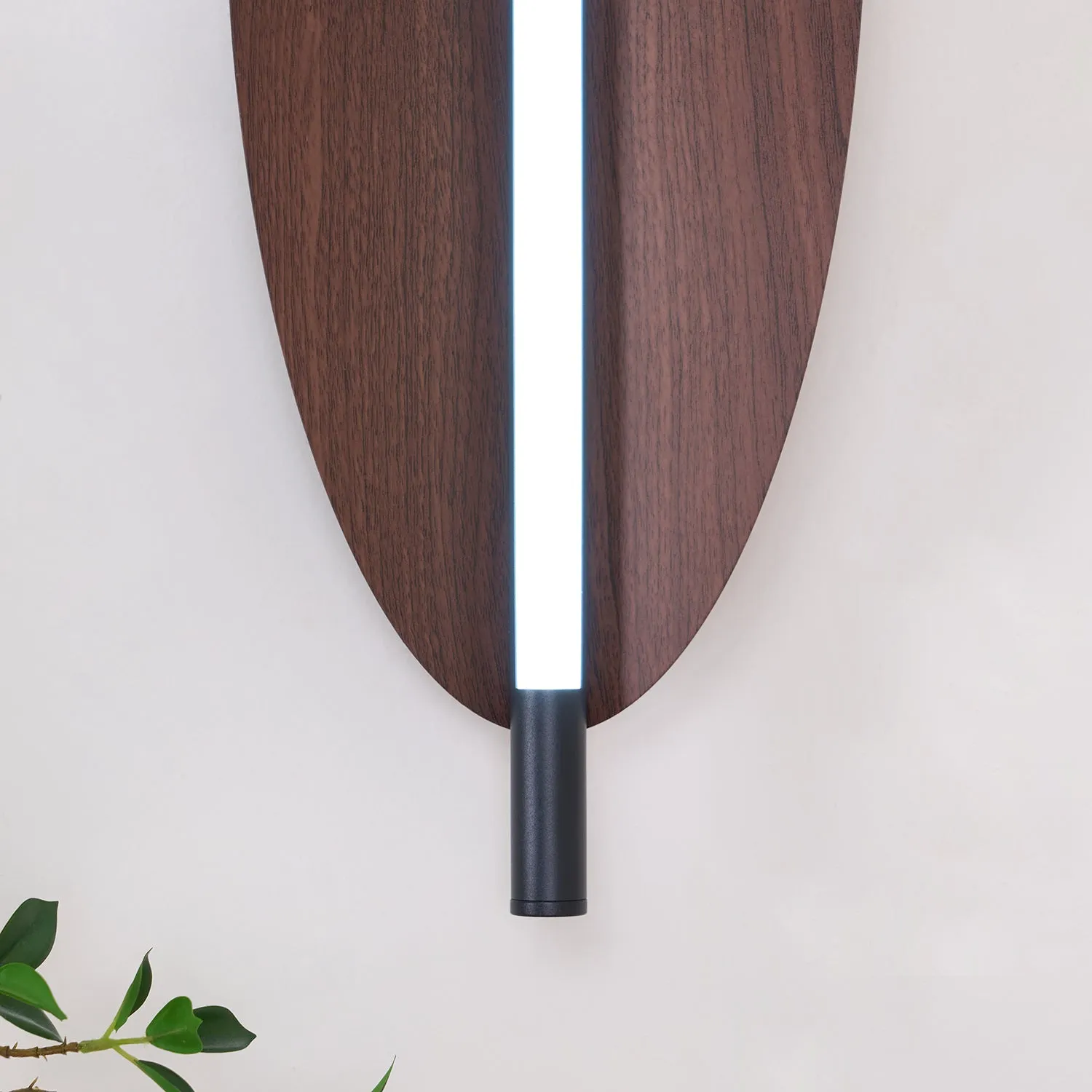 Sleek Board Sconce