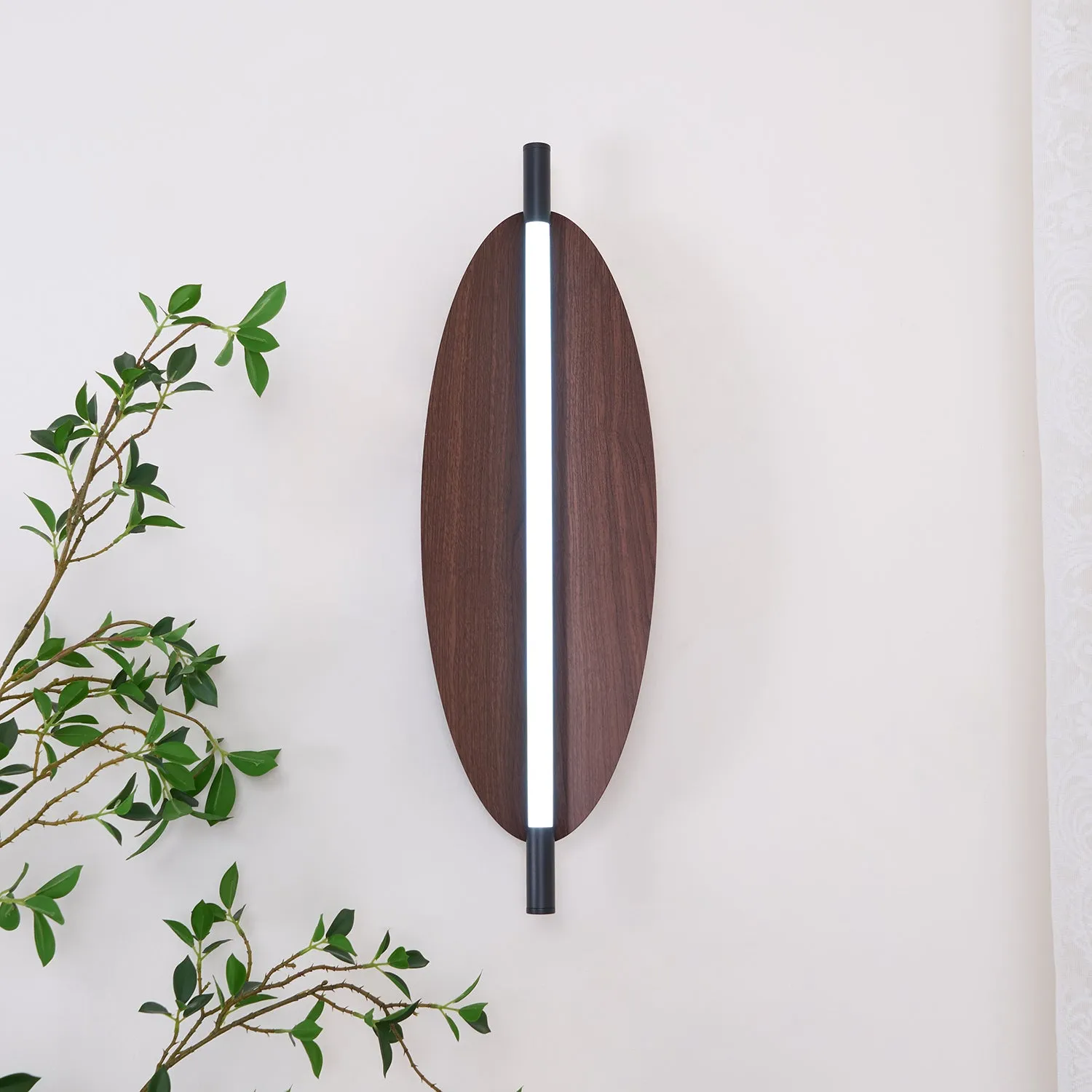 Sleek Board Sconce