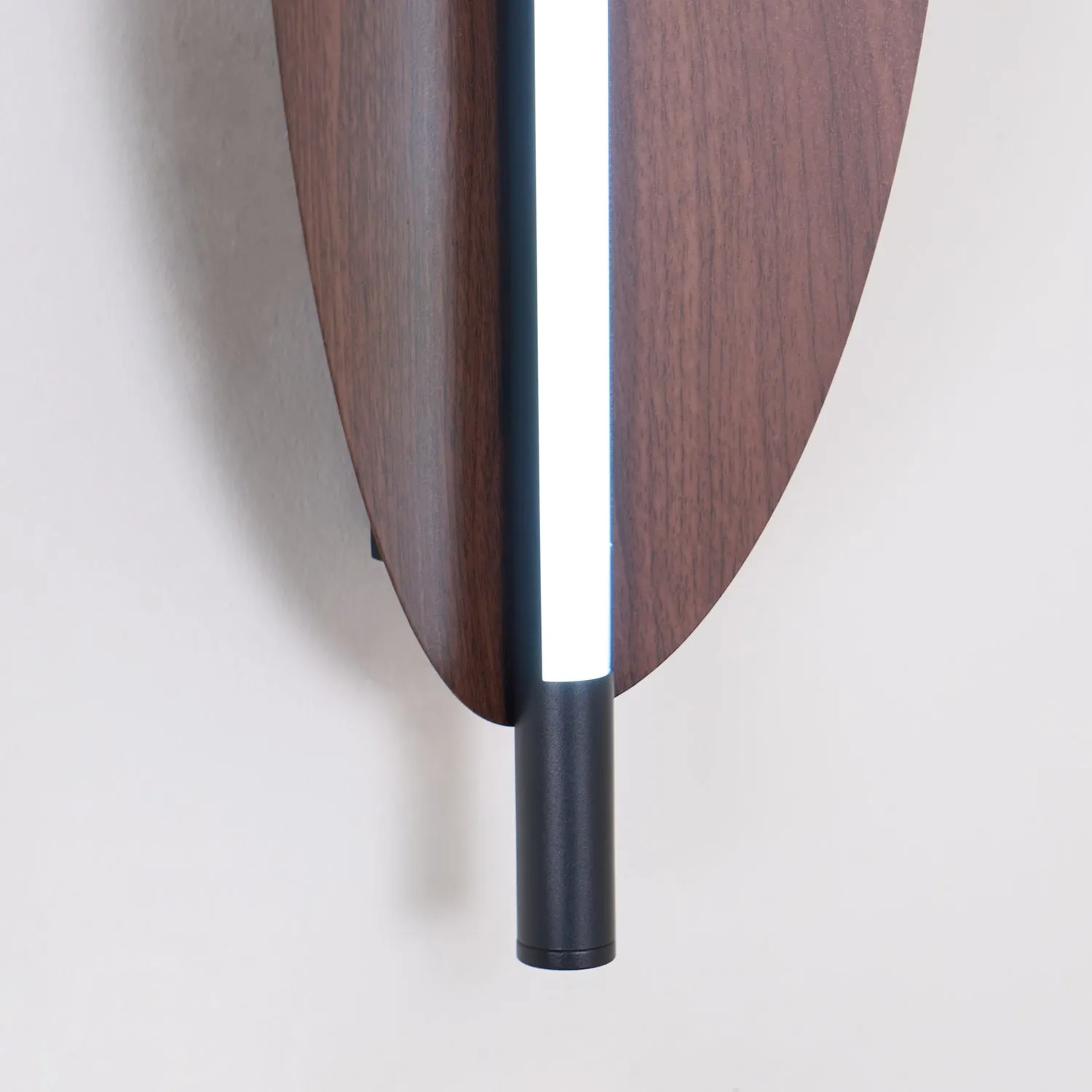 Sleek Board Sconce